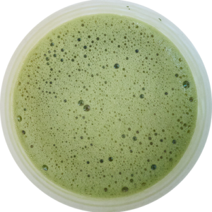 Kreativ Matcha - Brewed